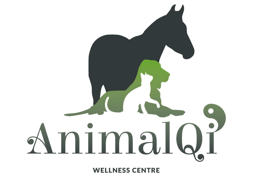 AnimalQi-Logo-2020